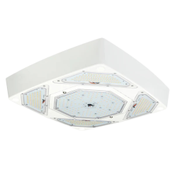 LED Petroleum Forecourt Canopy Light FLEXBEAM™ Series with Optional Directional High Output Modules